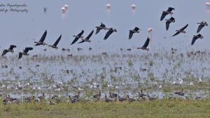 Φωτ. Παπαδόπουλος Κώστας